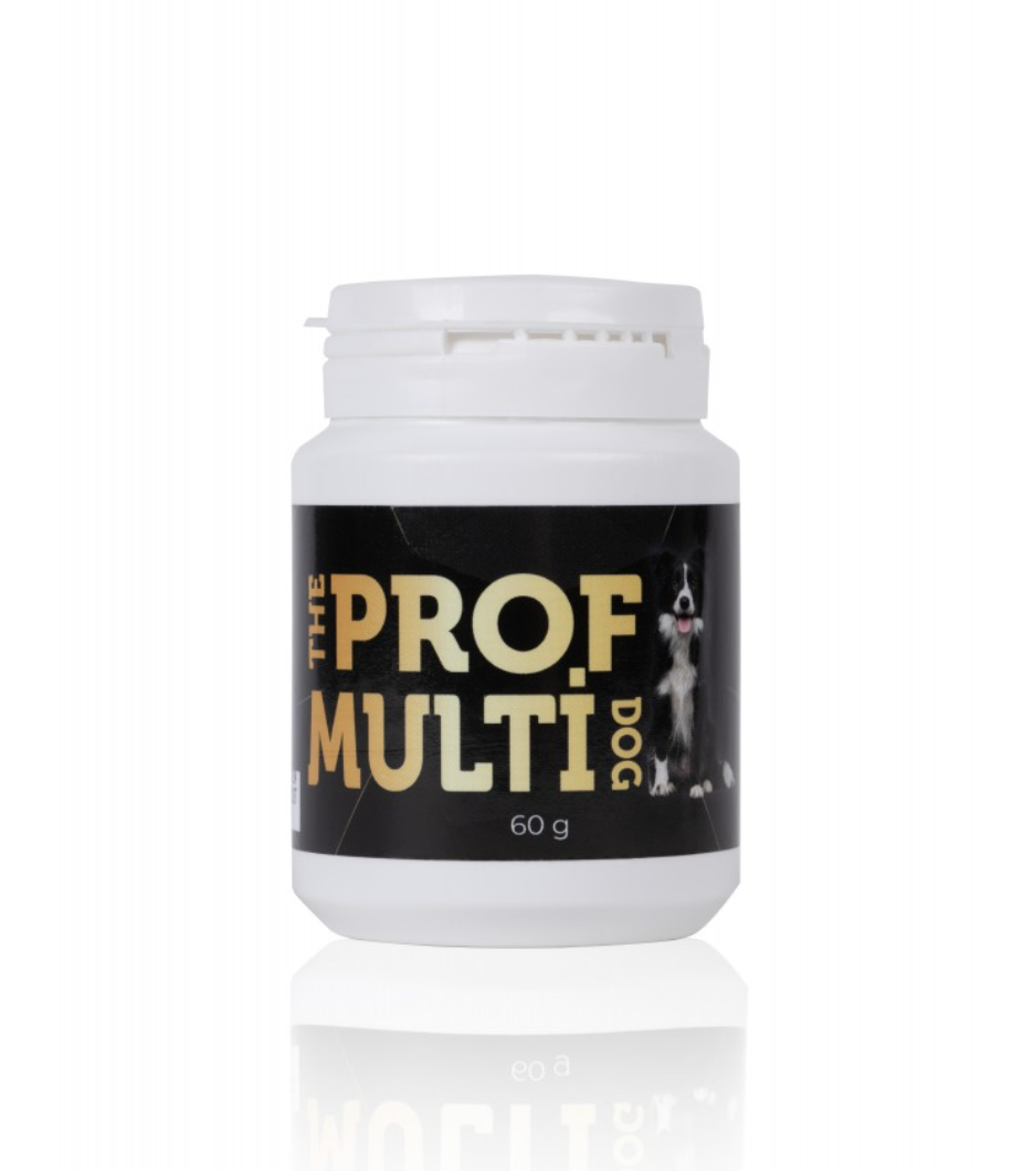 PROFMULTİ DOG